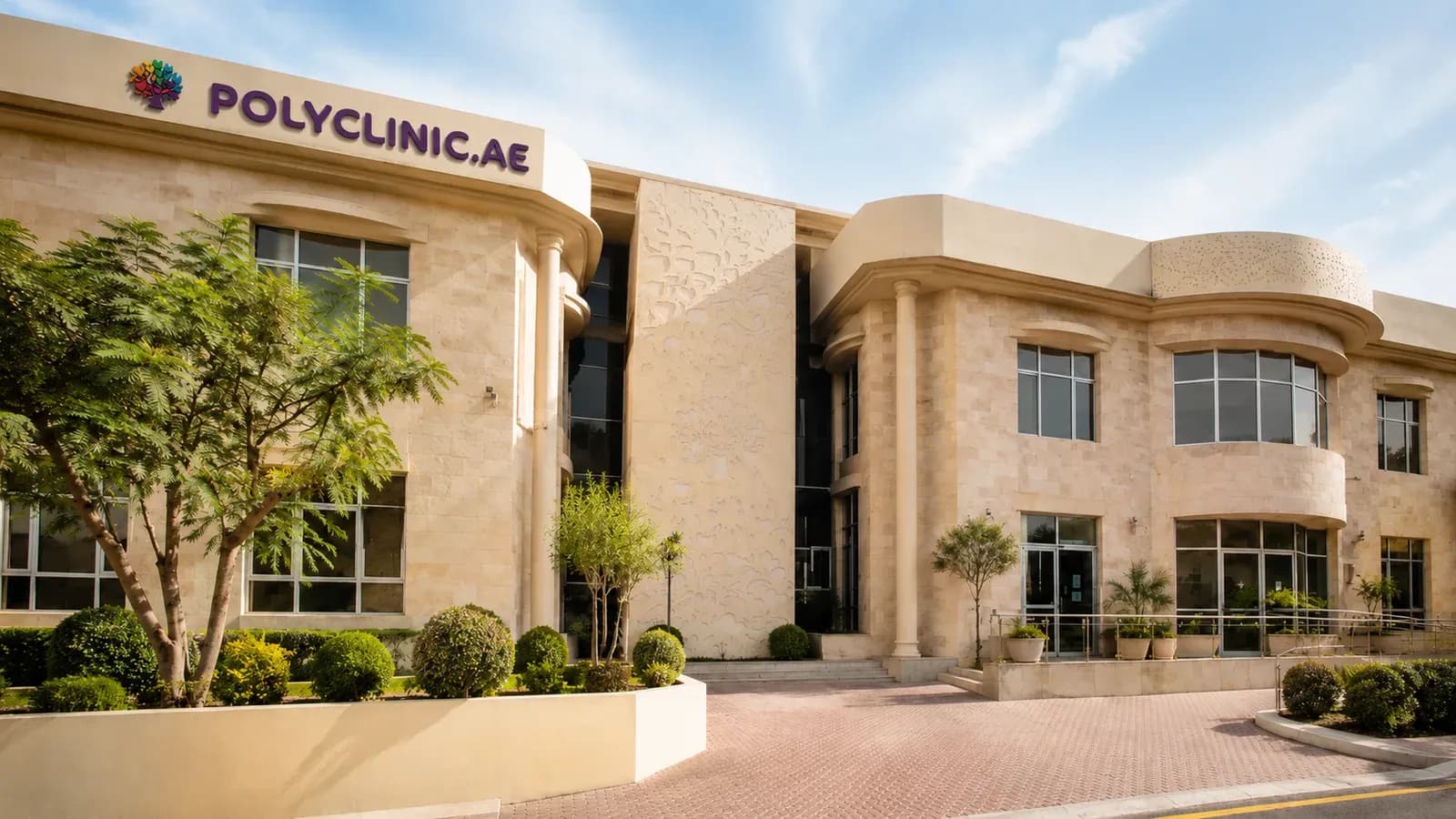 Polyclinic.ae — обложка кейса
